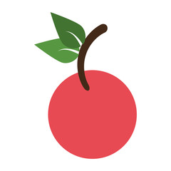 fruit icon image