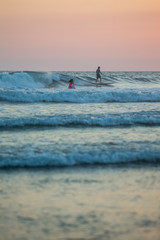 Surfers at Sunset in Santa Teresa, Costa Rica