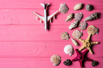 Fototapeta na wymiar Seashells and airplane on pink wooden background