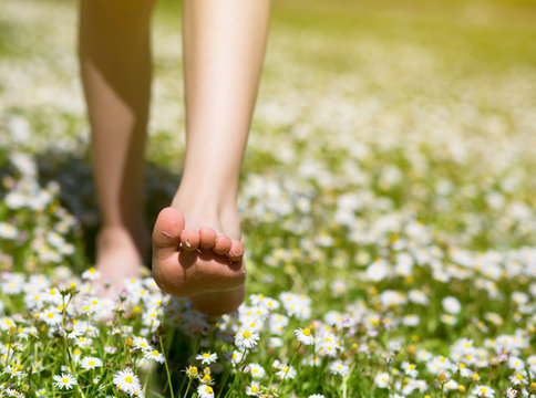 Child's Feet In Daisy Closeup View. Shoeless Boy Walking On Spring Meadow. Little Boy Lying On Summer Meadow Green Grass With Daisy.