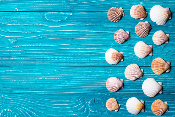 Seashells on blue wooden background