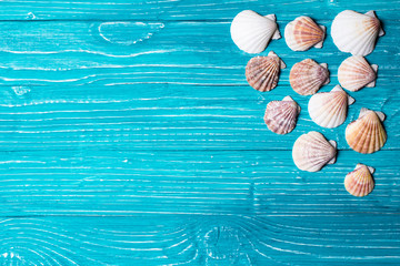 Seashells on blue wooden background