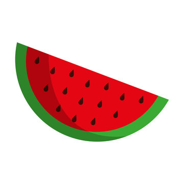 fruit icon image