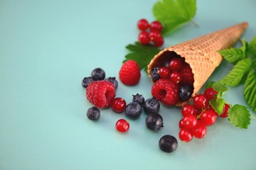 Verschiedene Früchte in Waffel