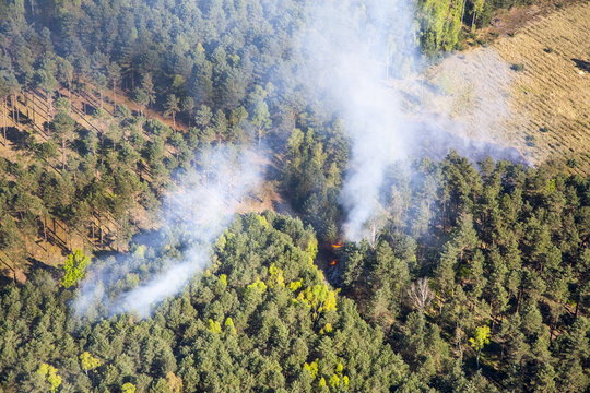 Waldbrand