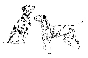 A collection of sketches breed dogs. Isolated hand drawings. Animal concept - 162487907
