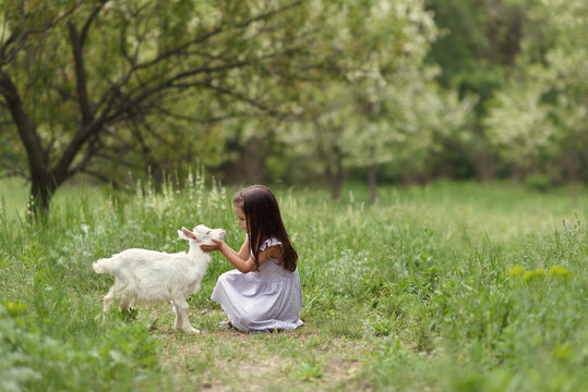 Little girl plays and huhs goatling in country, spring or summer nature outdoor. Cute kid with baby animal, forest, trod, glade background. Friendship of child and yeanling, image toned.