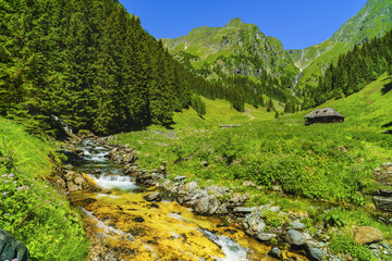 Fototapeta na wymiar Beautiful scenery with a mountain river in the Fagarasi Mountains Romania