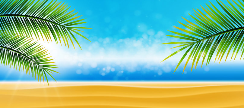 Strand, Wasser, Palmen
