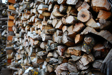 A stack of birch firewood - a natural background