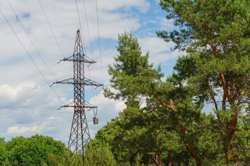 Obraz premium electricity tower in a green pine forest