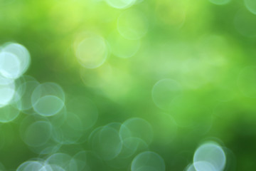 Obraz premium Abstract bokeh green bubble style effect