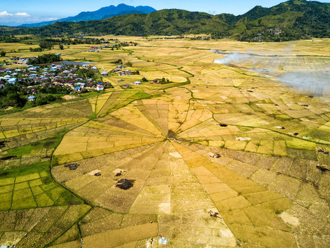 Aerial View Of The Spider Rice Fields At The Beginning Of The Dry Season Near Ruteng, Indonesia.