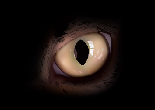 Cats Eye in Macro View - Animal Background Illustration, Vector