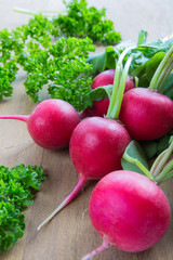 Fresh fragrant herbs spices parsley onion dill pepper bay leaf and juicy ripe radish vegetables. The concept of healthy nutrition and vegetarianism