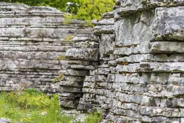 Stone forest