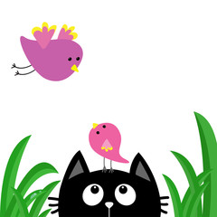 Black cat face head silhouette looking up to mother and baby bird. Green grass dew drop. Cute cartoon character. Kawaii animal. Pet collection. Flat design style. White background. Isolated