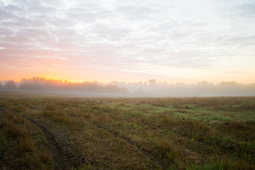 sunrise in fields.