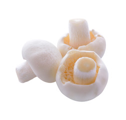 white mushroom isolated on white background
