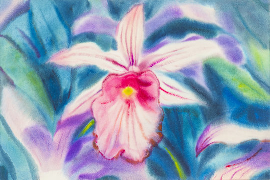 painting pink color of orchid flower and green leaves