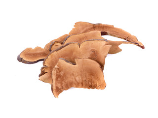 Fototapeta premium Ganoderma Lucidum Isolated on the white background