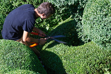 Jardinier paysagiste