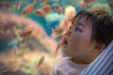 家族で水族館