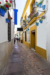 A typical street in Cordoba, Andalusia