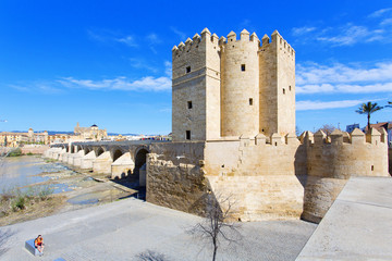 The Roman bridge and the Torre de Calahorra in Cordoba