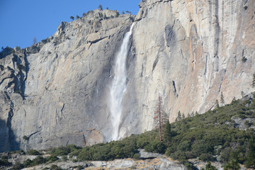 Fototapeta na wymiar Lower Yosemite Fall in Yosemite National Park, California