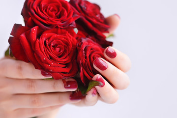 Hands of a woman with dark red manicure with a bouquet of red roses