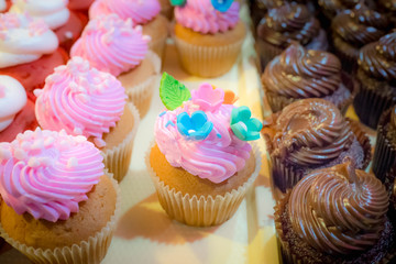 Colorful cupcakes with beautiful buttercream frosting decoration and Sweetest  .