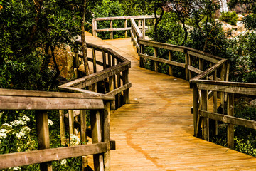 Wooden walk