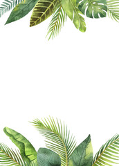 Watercolor rectangular frame tropical leaves and branches isolated on white background.