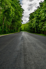 Obraz premium Asphalt country road
