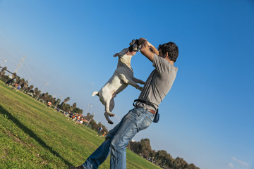 Bull Terrier Playing in the Park