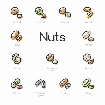Set of colorful nuts icons isolated on light background.