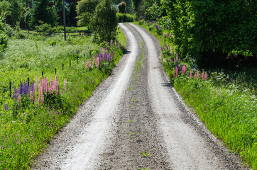 Beautiful winding gravel road