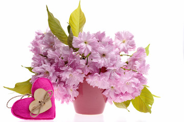 Bunch of japanese cherry flowers in vase near pink heart