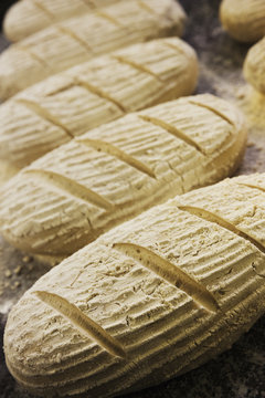 Close up of fresh proving bread dough shaped into loaves, dusted with flour.