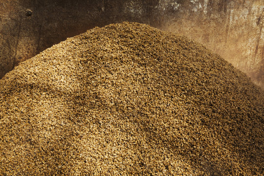 Close up of a heap of spent grain used in the brewing process. 