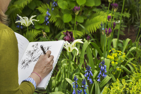 Over the shoulder view of a woman sitting in a garden by a flowerbed, drawing in a sketchbook.