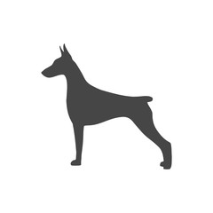 Doberman dog silhouette, side view, vector