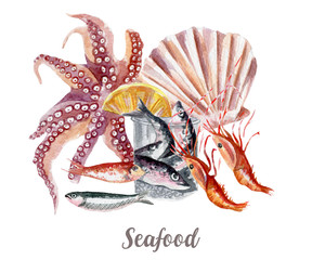 Seafood illustration. Hand drawn watercolor on white background.