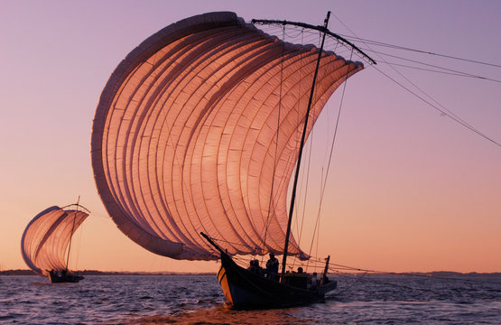 霞ヶ浦の帆曵き船の白い帆が夕日に染まる