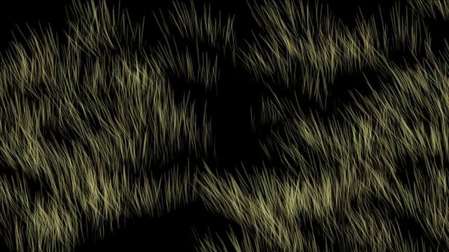 4k Wind breeze blowing grassland,meadow prairie pasture wheat barley food agriculture wilderness background.