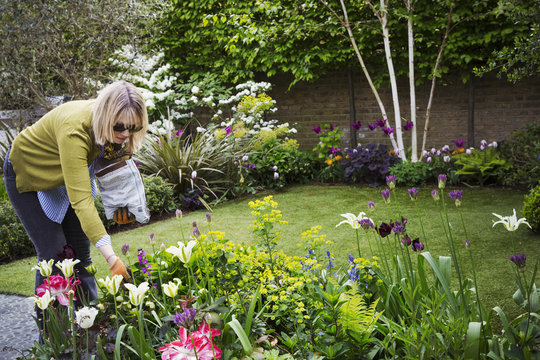 Woman standing in a garden, looking at flowers in a flowerbed.