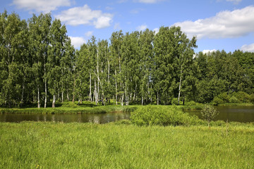 Fototapeta na wymiar Gzhat River near Gagarin. Smolensk Oblast. Russia