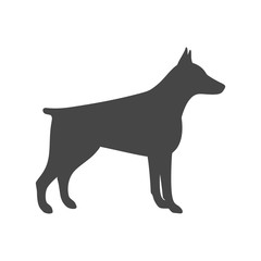 Doberman dog silhouette, side view, vector icon