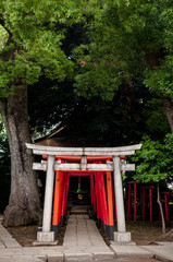 Japanese Gate - Torii